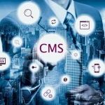 Best CMS for Your Website