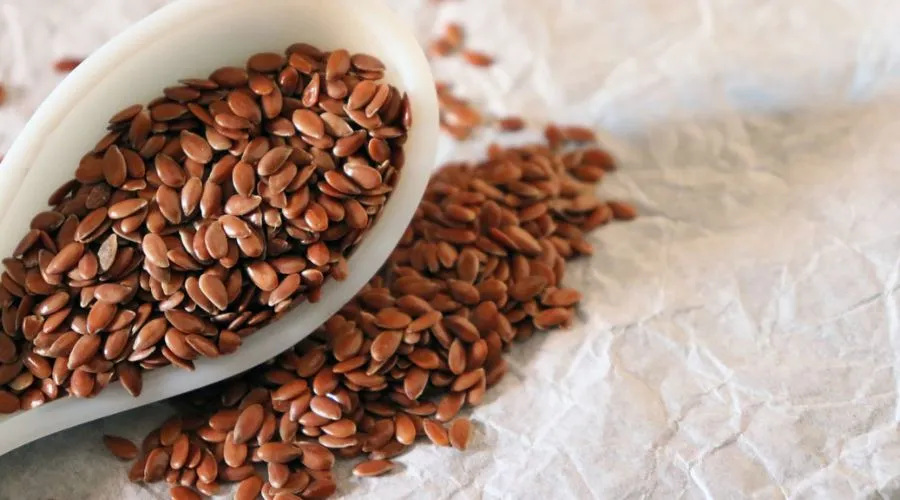Health Benefits of Eating Flax Seeds